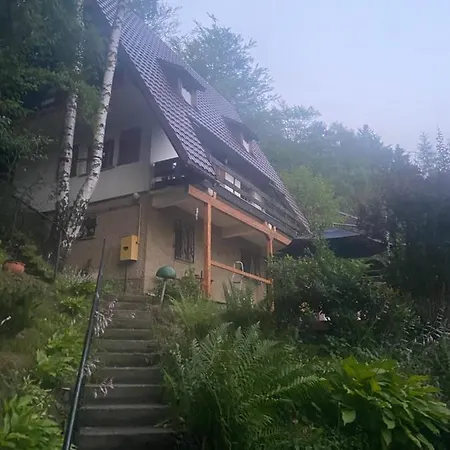 Male Schronisko 샬레