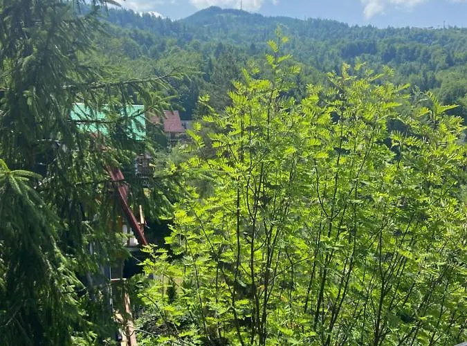 בקתה Male Schronisko